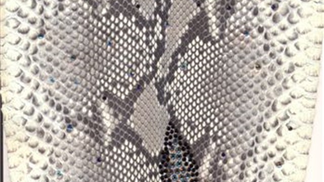 collection 2 strass+cut steel shading on python